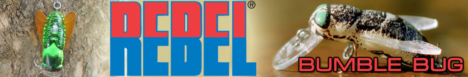 Rebel Bumble Bug