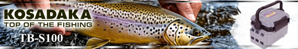 Kosadaka TB-S100