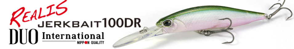 DUO Realis Jerkbait 100DR