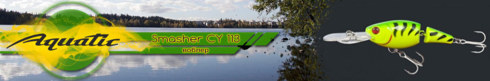 Aquatic Smasher CY 113 (8.8 гр, 60 мм)