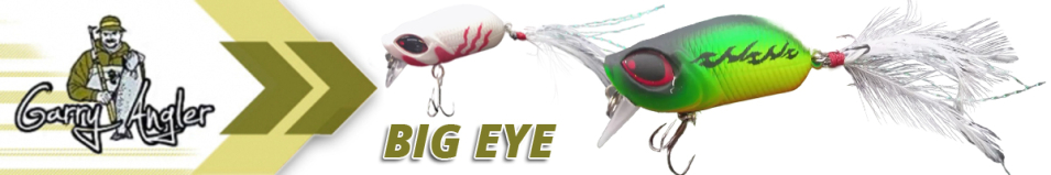Garry Angler Big Eye F 60mm 8g