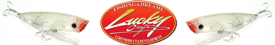 Lucky Craft C-Cube 100