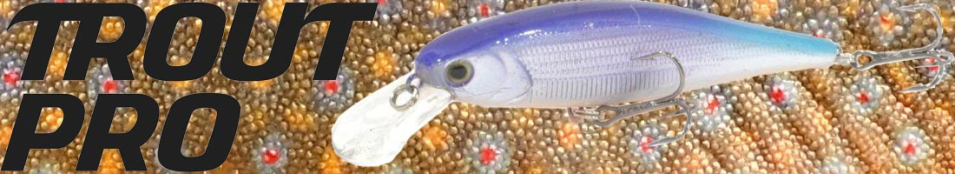 Trout Pro Original Minnow 100F