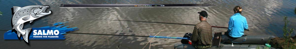 Salmo Diamond Specialist Pole