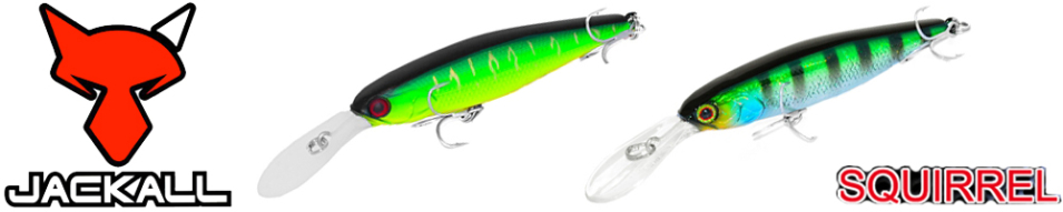 Jackall Squirrel 67 DD