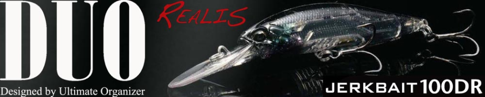 DUO Realis Jerkbait 100DR-F