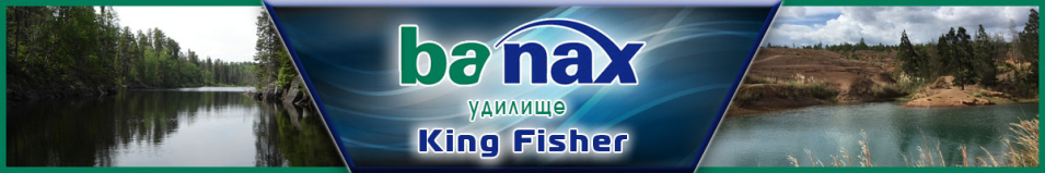 Banax King Fisher
