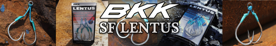 BKK SF Lentus (S) SF8063