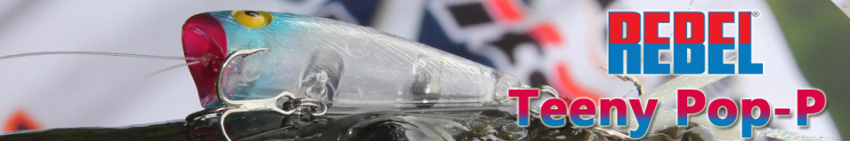 Rebel Teeny Pop-P P50