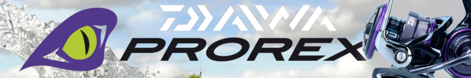 Daiwa 21 Prorex V LT