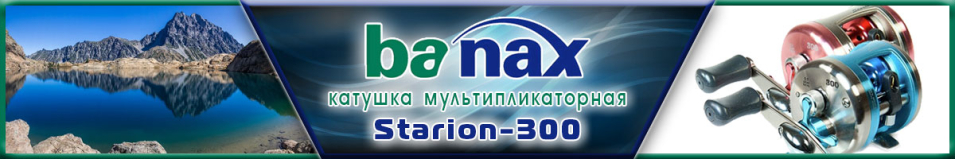 Banax Starion-300