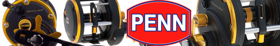 Penn Squall Level Wind
