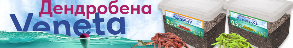 Червь Дендробена - 500гр.