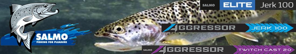 Salmo