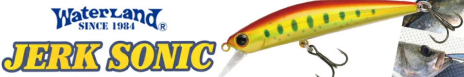 Waterland Jerk Sonic 55