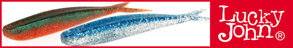 Lucky John 3D Series Slick Shad-V 9.0"