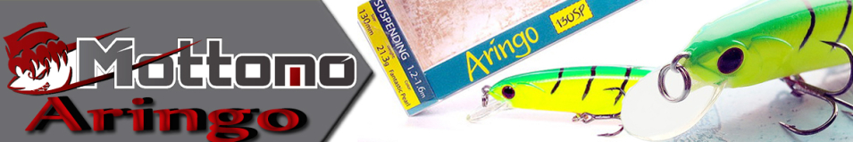 Mottomo Aringo 130SP "2 в 1"