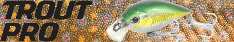Trout Pro Crank Bait 40F