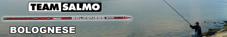 Team Salmo Bolognese 2-е Колено удилища