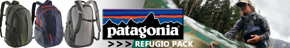 Patagonia Refugio Pack 28 L, FORT