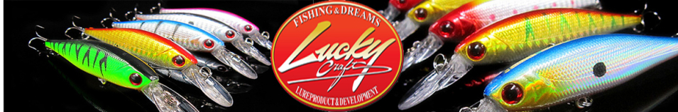 Lucky Craft Commonsence Minnow Raiou