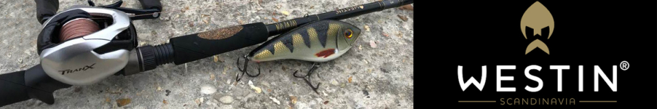 Westin W3 Powershad-T
