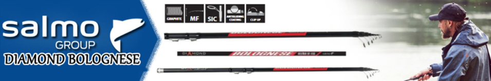 Salmo Diamond Bolognese 2-е Колено удилища