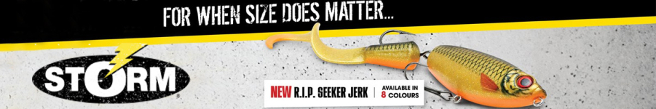 Storm R.I.P. Seeker Jerk 20