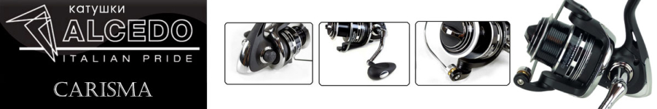 Alcedo Carisma