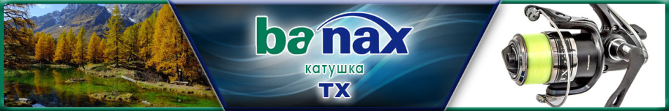 Banax TX