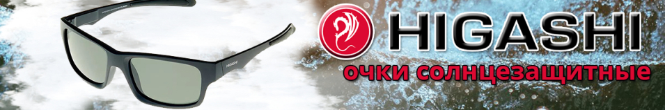 Higashi Glasses H7921