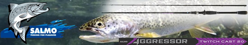 Salmo Aggressor Twitch Cast 20