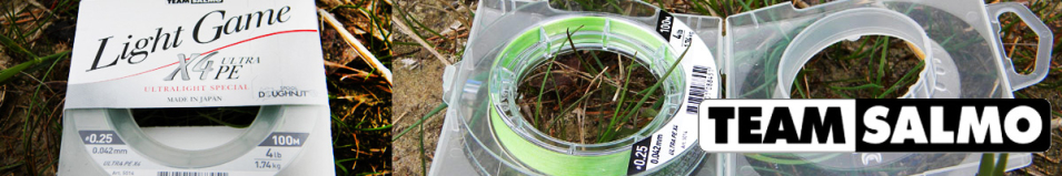 Team Salmo Light Game Fine Green X4 100m                                          