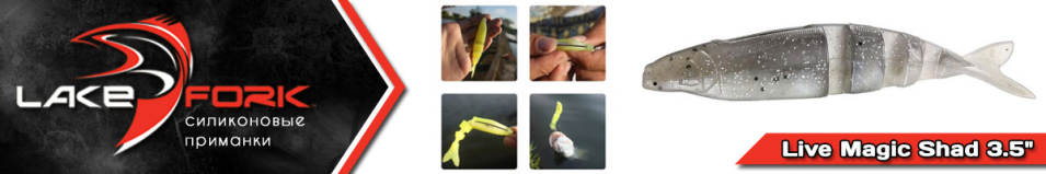 Lake Fork Live Magic Shad 3.5"