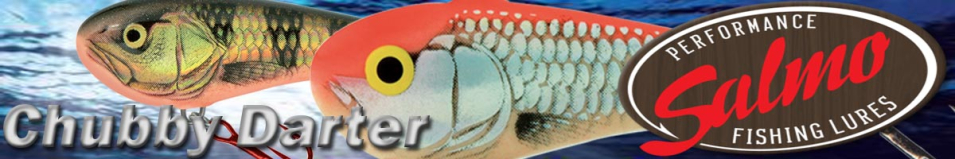 Salmo Chubby Darter 35S