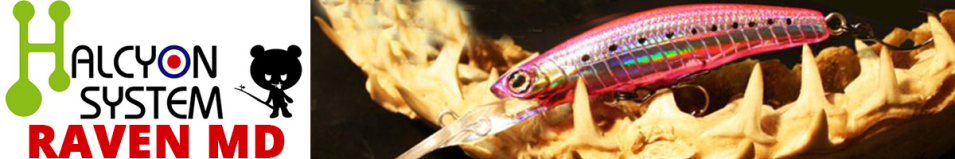 Halcyon System Raven MD 70S