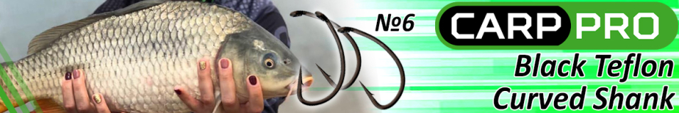 Carp Pro Black Teflon Curved Shank