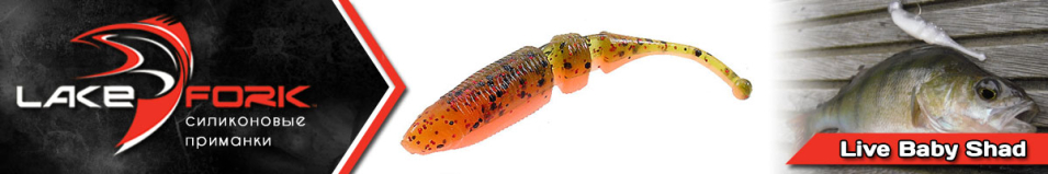 Lake Fork Live Baby Shad