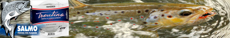 Salmo Fluorocarbon Troutino Soft 150m