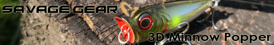 Savage Gear 3D Minnow Popper 4.3cm 4g