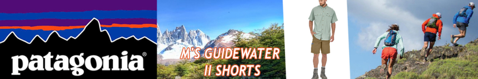 Patagonia M's Guidewater II Shorts, ASHT