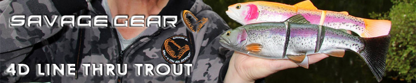 Savage Gear 4D Line Thru Trout