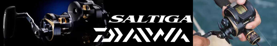 Daiwa 25 Saltiga