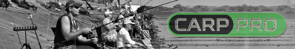 Carp Pro Чехол-сумка для кресла