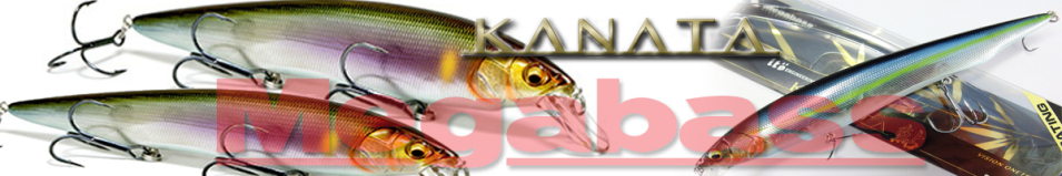 Megabass Kanata 160F 