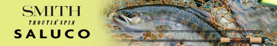 SMITH Saluco TSS
