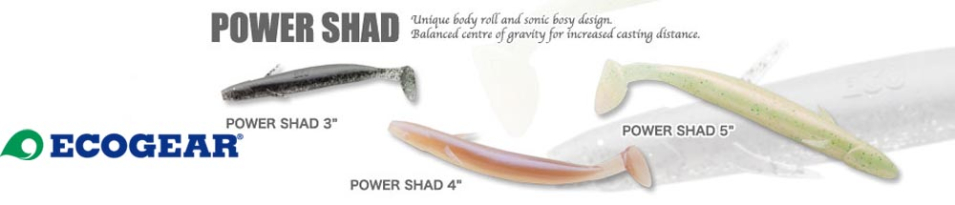 Ecogear Power Shad 4