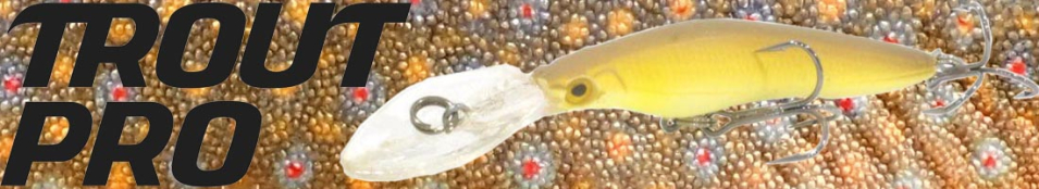 Trout Pro Twitch Minnow 50SU         