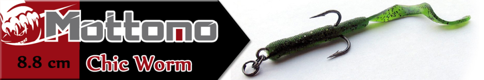 Mottomo Chic Worm 8,8см