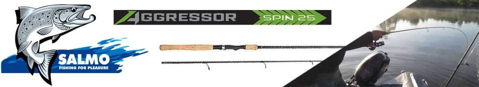 Salmo Aggressor Spin 25